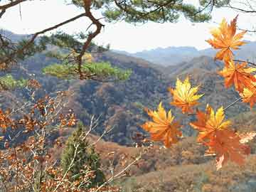 天水成紀(jì)新城最新動(dòng)態(tài)，蓬勃發(fā)展中的未來(lái)之城